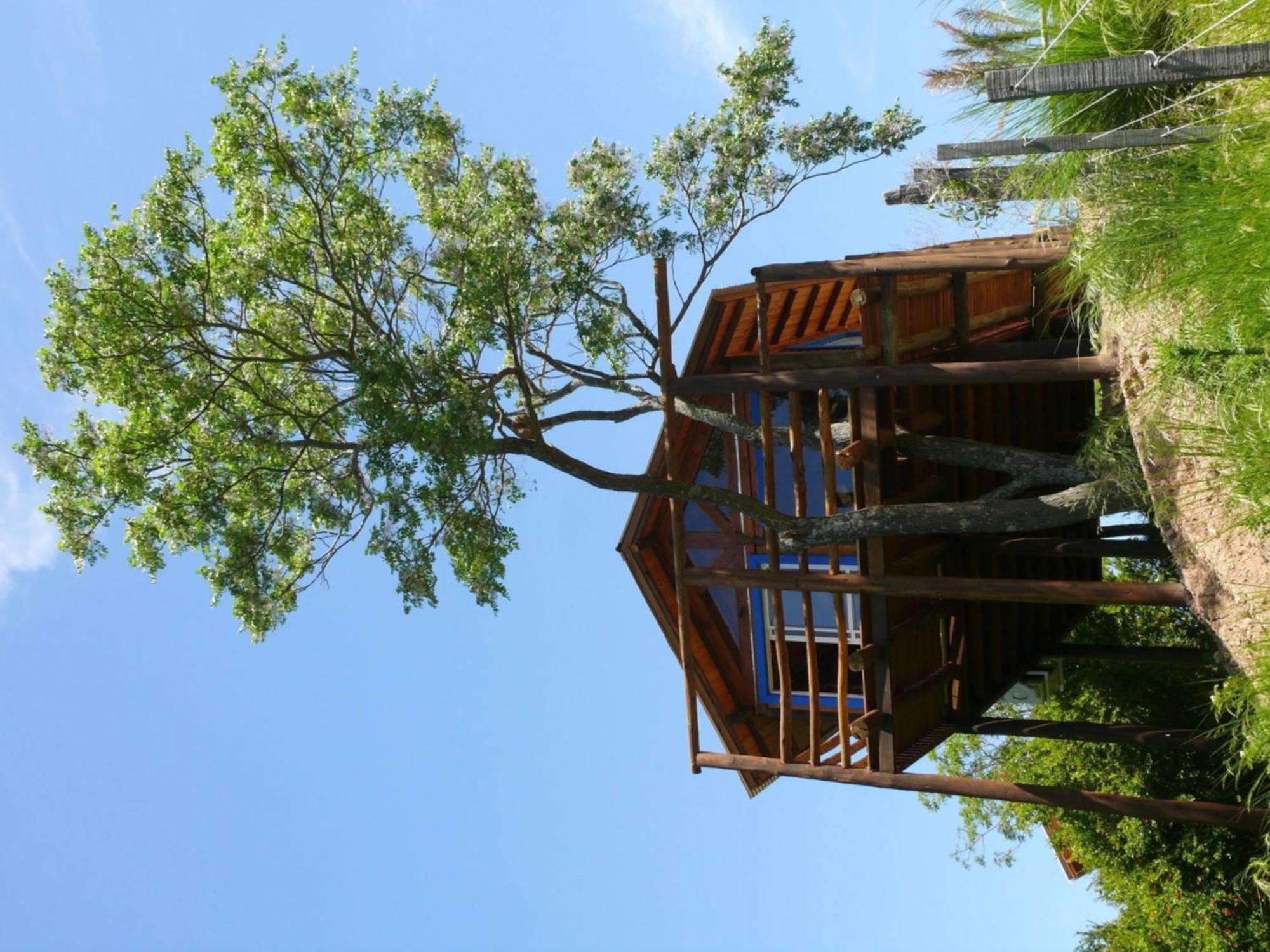 Cabanas De La Ribera 산페드로 외부 사진